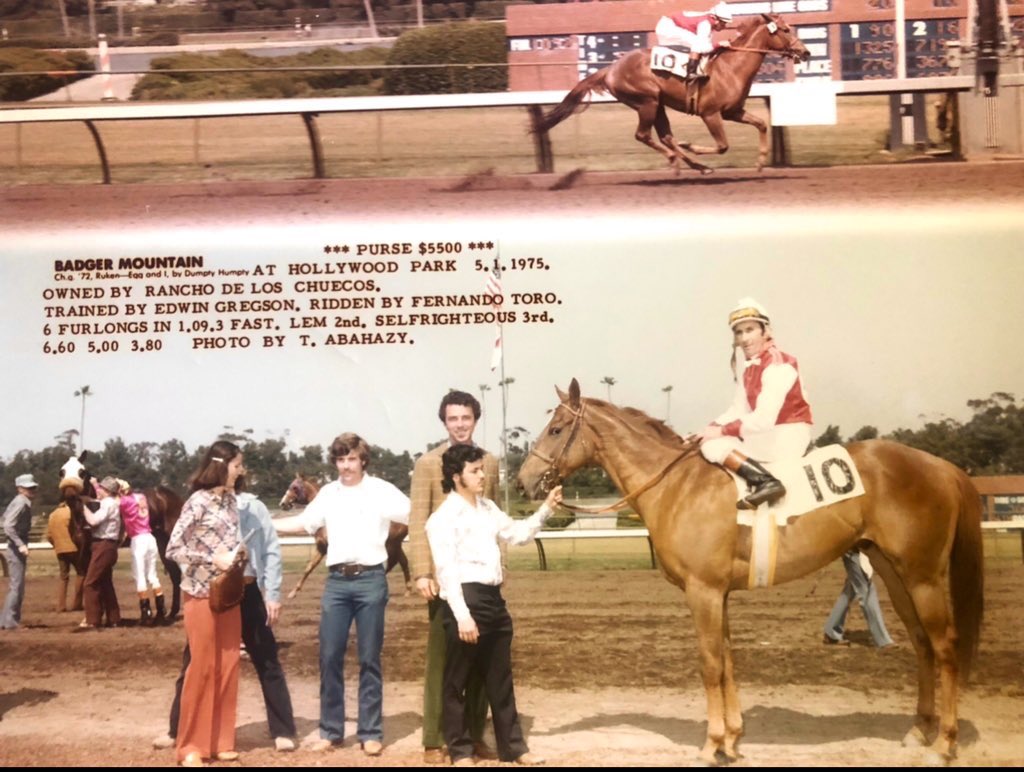 _Mitchell_Stone's tweet photo. No way I was going to school(Dana jr high) as the hot walker groom foreman and babysitter at RANCHO DE LOS CHUECOS🤣 3 noted horsemen in the pic Memories ! #JC #EJG #Toro https://t.co/qnnOCTeyrW
