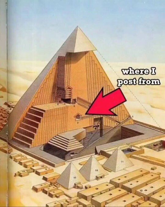 Pan Mann tweet media