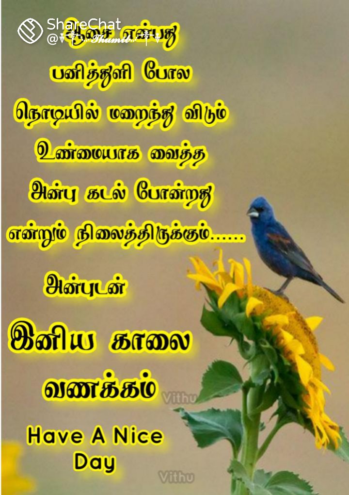 k62659489's tweet photo. @Rajesh55291680 https://t.co/ja1niwrGCL