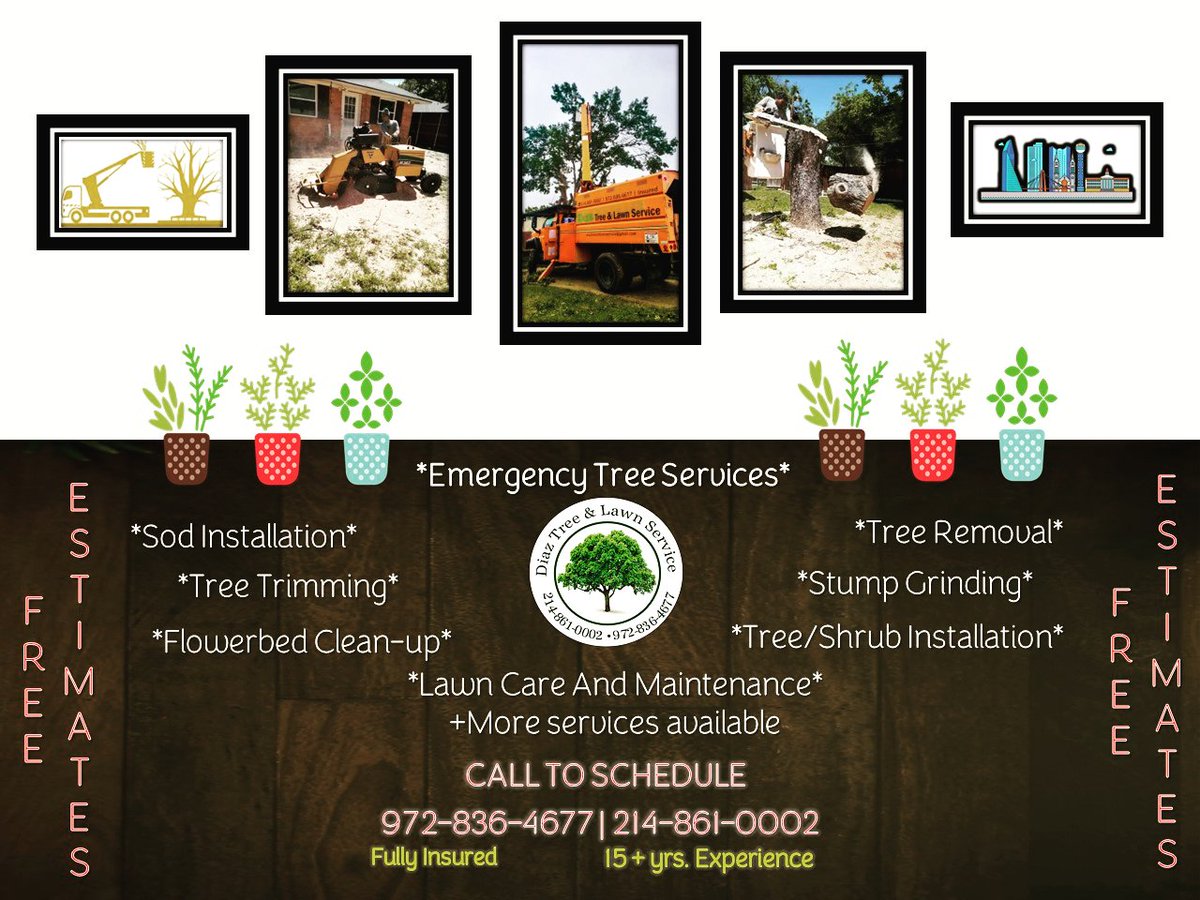 ⏰Emergency tree services available.
Diaz Tree and Lawn Service 🌳
👷‍♂️ Quick, Reliable &amp; Insured.
📍 Servicing all Dallas - Fort Worth.
+Over 15 years of experience  
☎️ Call us or Text us
 214-861-0002 or 972-836-4677
BBB ACCREDITED. INSURED. COMMERCIAL. RESIDENTIAL. AFFORDABLE