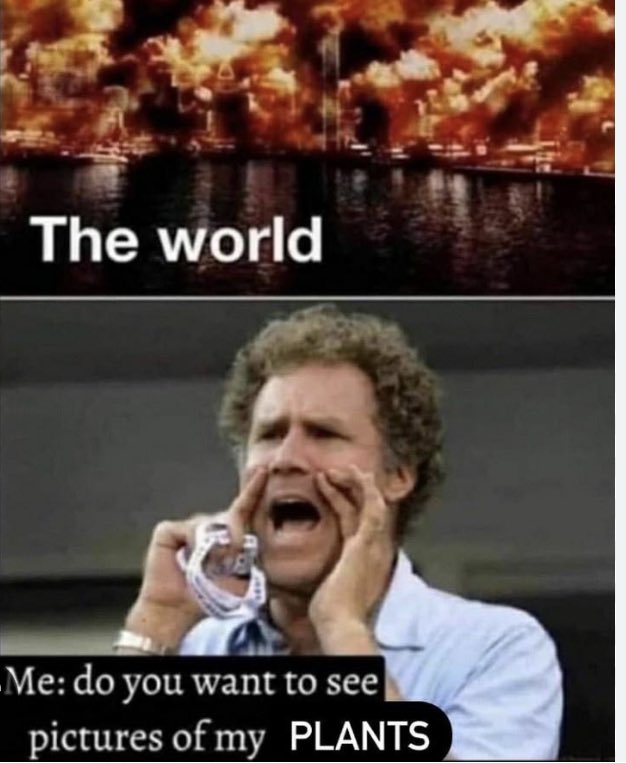 Let’s do if a meme was your current wip, I’ll go first, so this isn’t totally spot on bc mine has a lot going on but here’s the best I could find😆 #WritingCommnunity #RevPitWaiting