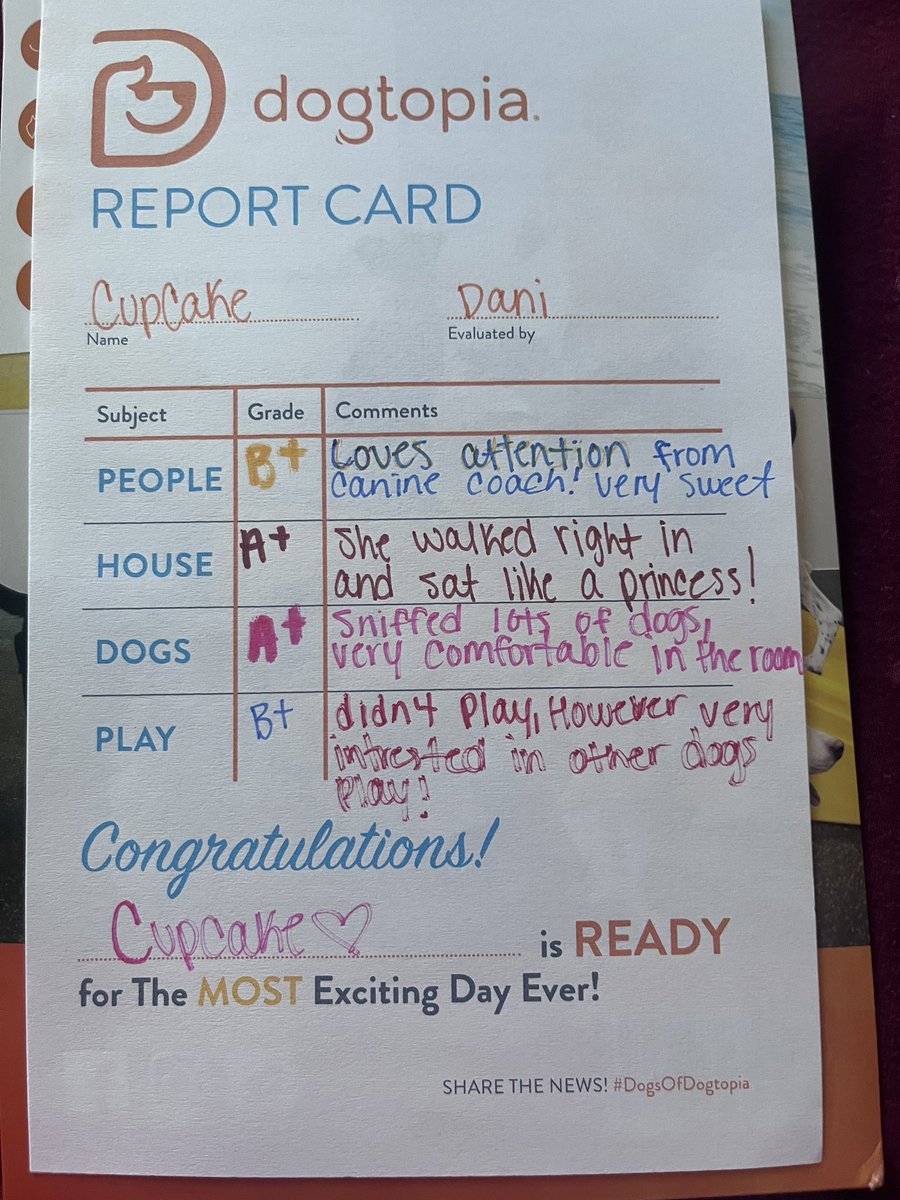 So proud of my girl’s first day <a href="/dogtopia/">Dogtopia</a>  she is always nervous meeting new people/dogs #rescuedog #loveofmylife