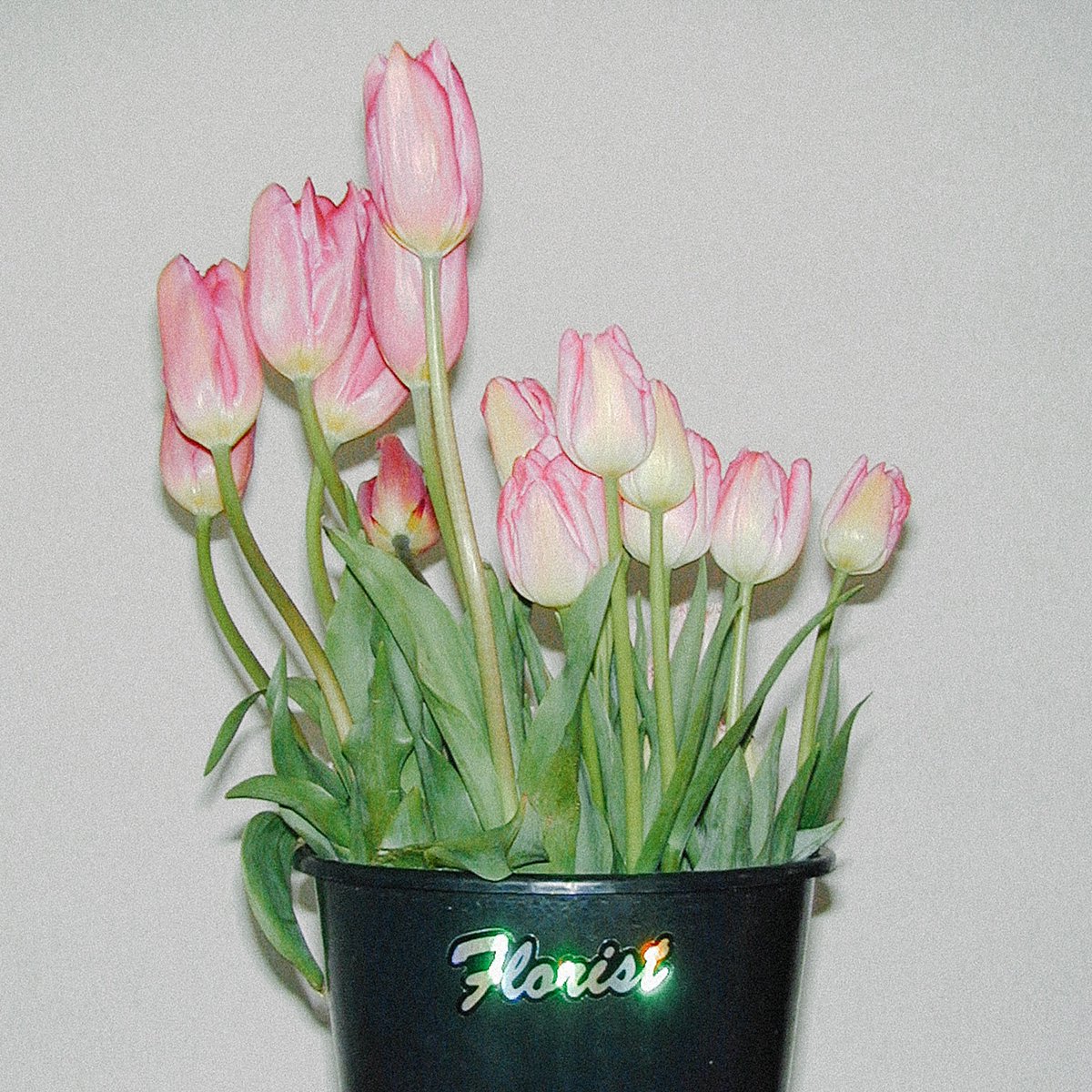 FRESH CUT FLOWERS LLC (@checkthevase) on Twitter photo 