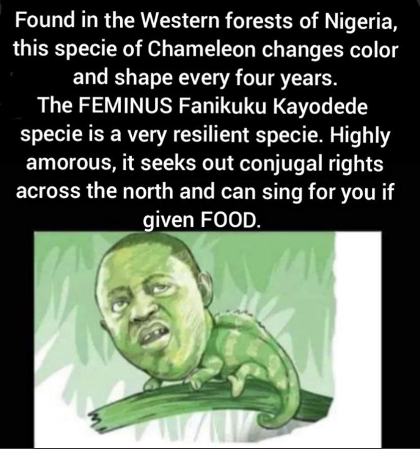 Rickymond4's tweet photo. @realFFK https://t.co/z9AMn1LlCl