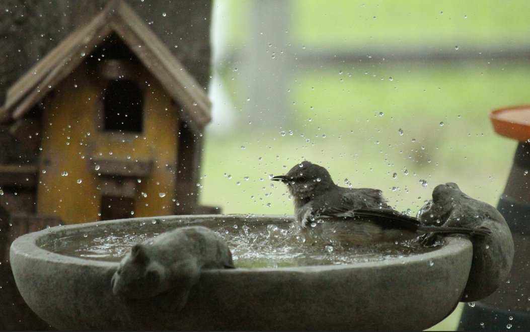 Mark Nau (@mark_nau) on Twitter photo 