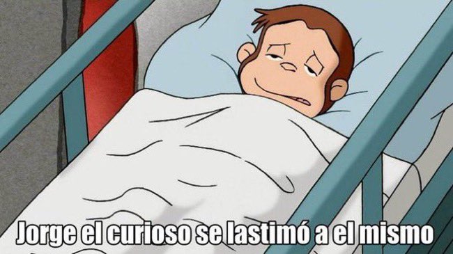 𝑀𝑜𝑟𝑖𝑡𝑎 🐆 tweet media