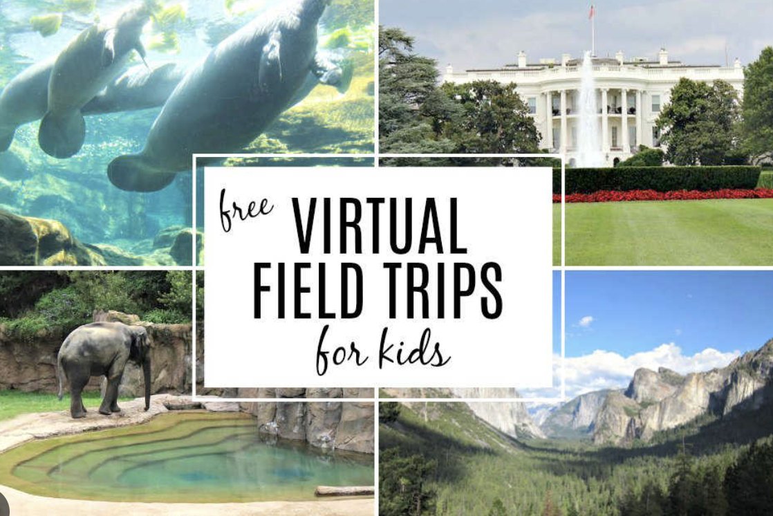 Mallory2023's tweet photo. This week I emerged into the world of Virtual Field Trips and how accessible they can be in schools. Teachers can customize the trip and include specific information that is related to the curriculum. I learned how to use google earth to create a Virtual Field Trip. #EDUC387713 https://t.co/bT7eKpZrZn
