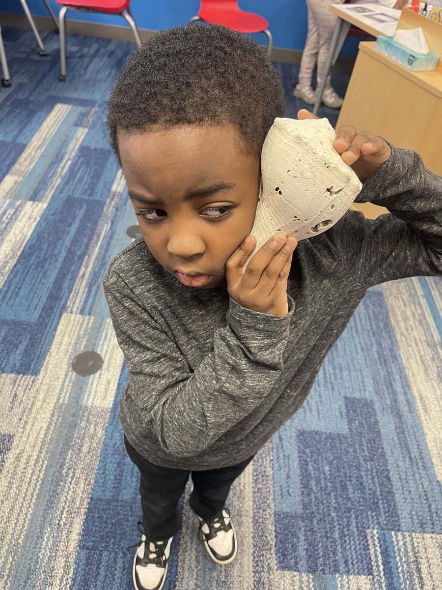teachbeaty's tweet photo. Ohana making observations and wonderings about shells and learning more about our hermit crab! @SerenaHills_161 https://t.co/gvlizktP7x