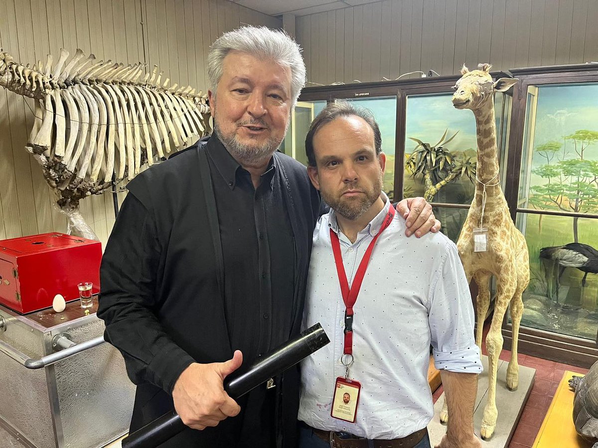 Conocer a tus ídolos 🪄