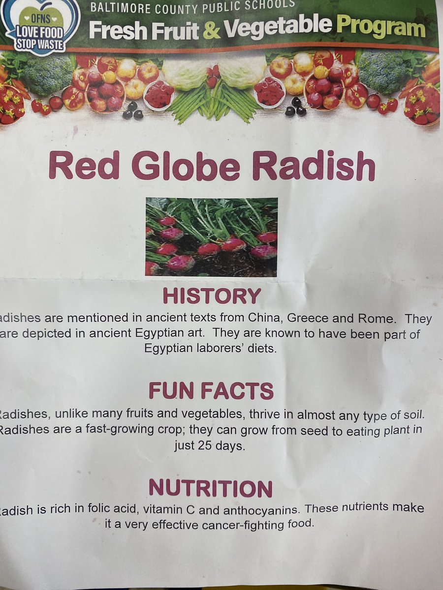 Had a blast with some Ks this morning showing them how I make “flowers” from radishes and inviting them all to taste the pieces. <a href="/Sussex_Elem/">Sussex Elementary School</a> <a href="/SussexES/">Sussex Elementary</a> <a href="/PtaSussex/">Sussex Elementary PTA</a> @BCPS_Sup