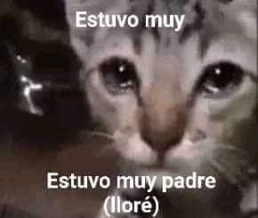 ccnavitar's tweet image. Gente porfis manden cc, he estado inactivo por quedarme sin ideas