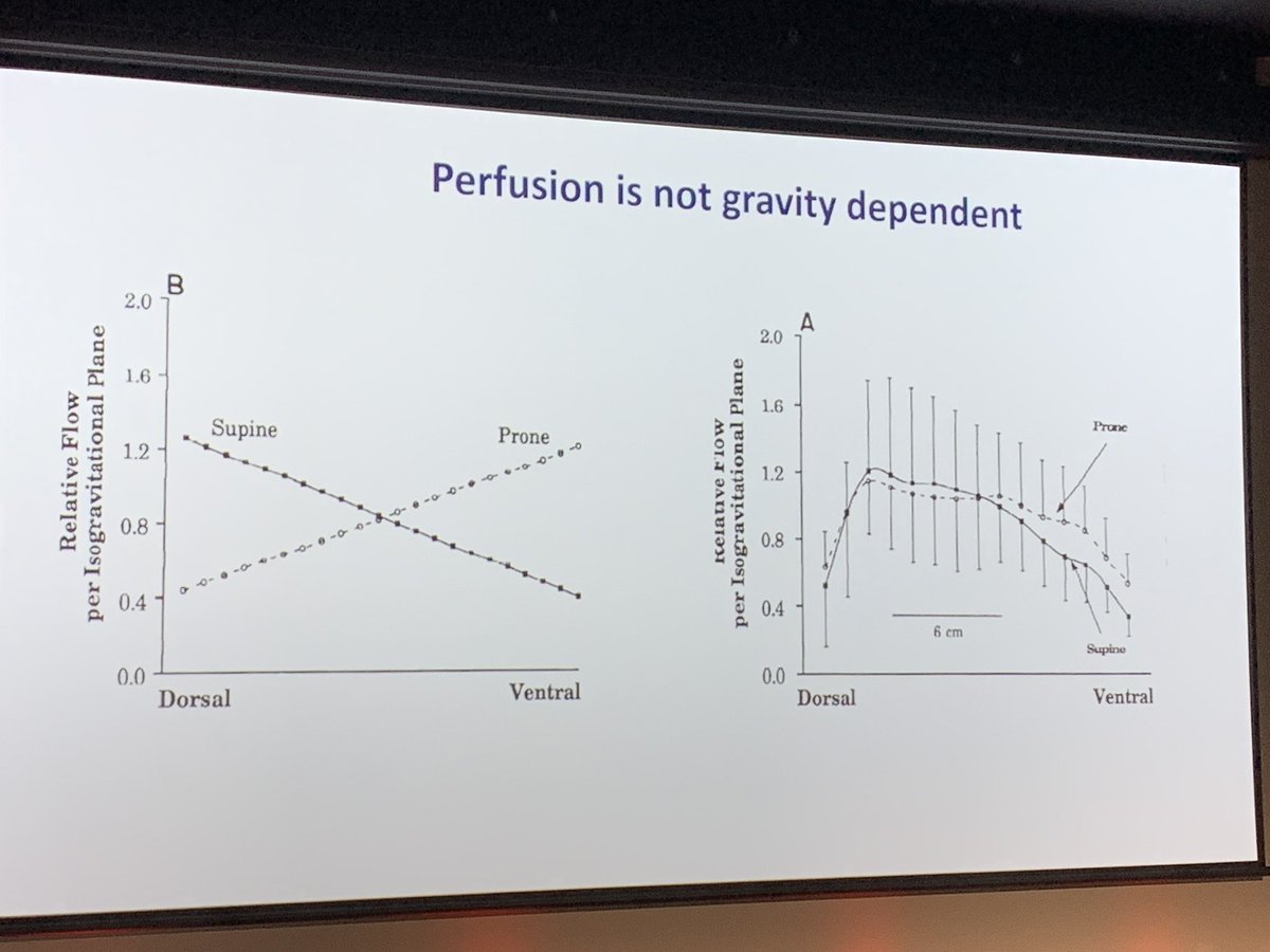 Dr Lisa van der Lee tweet media