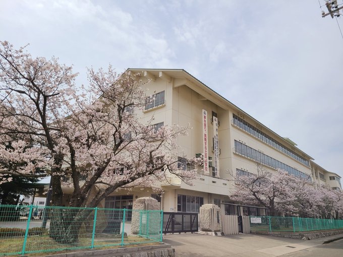 土庄中学校の桜は今が見頃です🌸#土庄中学校#高木さんめ 