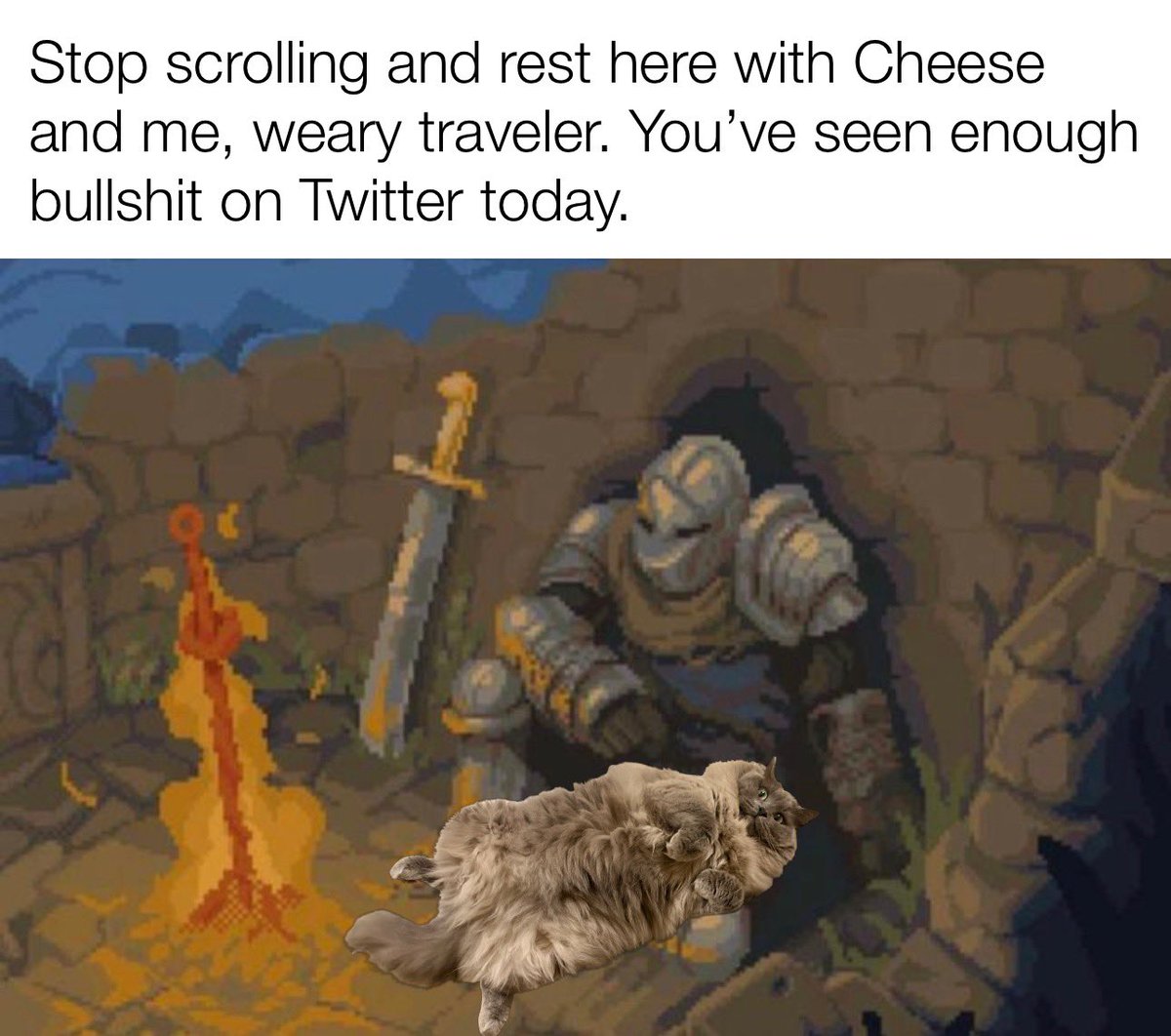 Donut Operator 🍩 tweet media