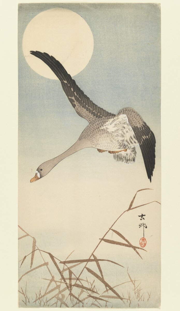 ohara_koson's tweet photo. Ohara Koson, Goose in Flight with Moon, 1930-1939 #brooklynmuseum #asianart https://t.co/8SnUdbilzf https://t.co/npgFTGEMJH