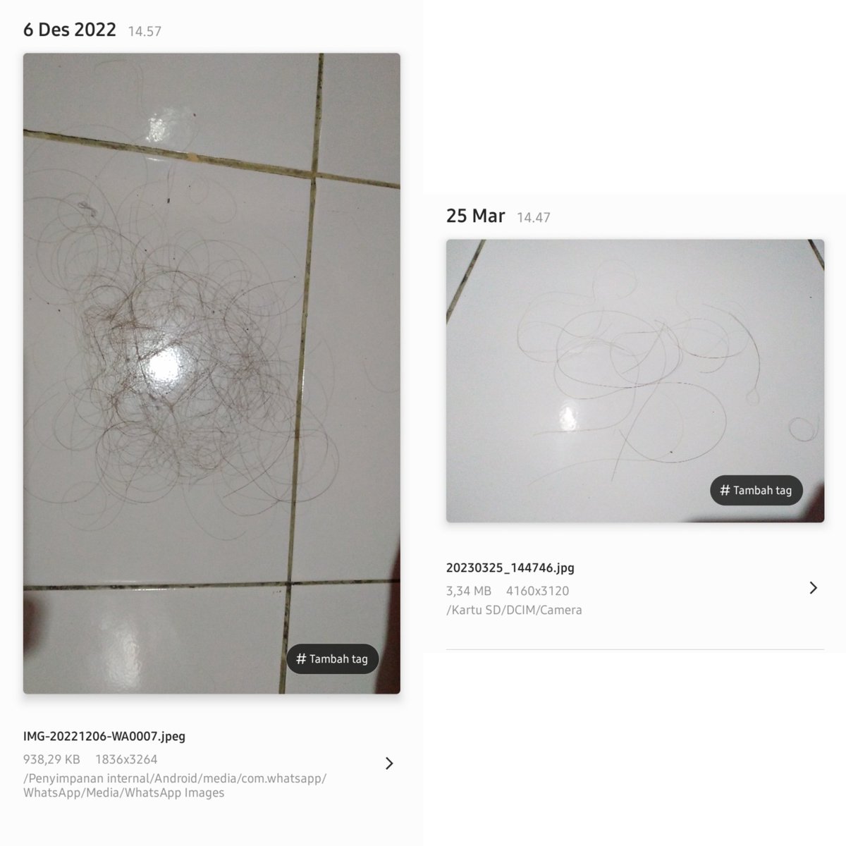 17maret_'s tweet photo. @khansaneira Wkwkwk ngakak bgt 😭😭😭

Btw guys rambut rontokku berkurang bgt pke ini, bonusnya rambut wangi sepanjang hari + ga lepek.
Kemarin aku beli jg harganya murce tapi kualitas oke bgt !!! Gas co produknya disini ya : 🛒 https://t.co/G7k6tvnZRZ

#Racuninhaircare  
#AzaleaHairVitamin https://t.co/UcpukcJdHS