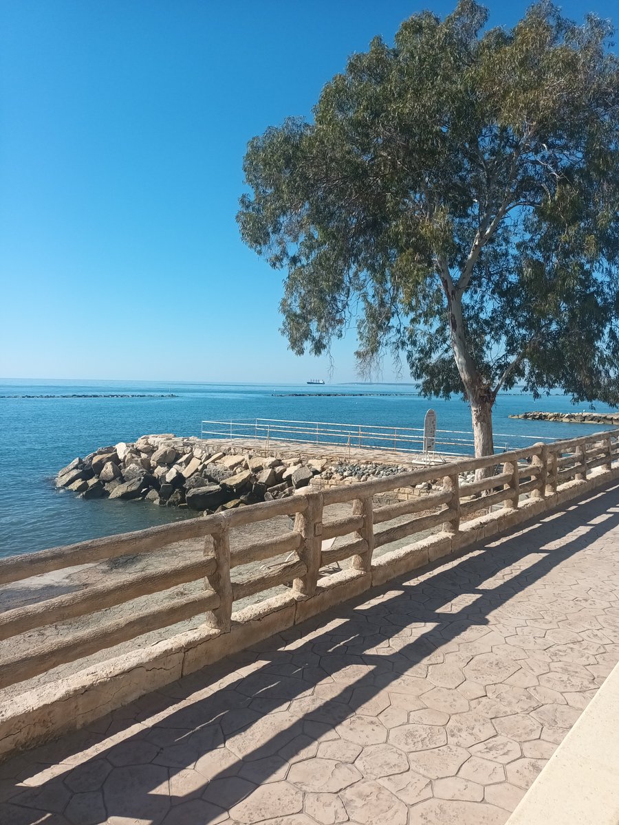 wadeyam's tweet photo. Good morning Cyprus! #EPASIreland https://t.co/6KaaPtcsB3