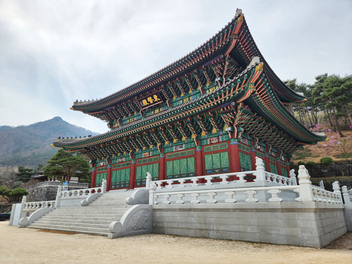 keikosuperhuman's tweet photo. 韓国ドラマで有名になった「ホジュン」先生。

韓国の田舎が年間観光客100万人以上、薬草、韓方、エキスポとともに有名になった「東医宝鑑村」（朝鮮第一の医書=とういほうかん、東醫寶鑑、トンイボガム、동의보감）

東洋医学のメッカ、韓国の「気のスポット」で、心身ともに充電してきました。 https://t.co/l4rZmnMxzJ