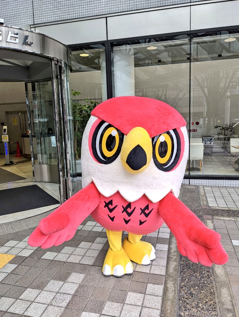 ありがとう。散歩もしたね。慰めてくれたこともあった。バスケしたり。何より色んな情報発信をしてくれて、僕らの番組やアナウンサーのことを一生懸命伝えてくれて、本当にありがとうね。とっても嬉しかったし、助かりました。何がしてあげられたかなぁ。楽しかった。忘れないよ。じゃあね。#ミセタカ