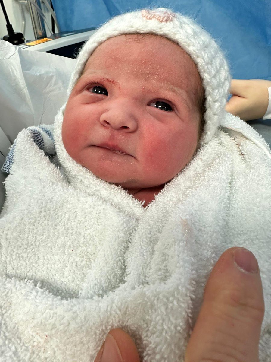 Laura Carrier tweet media