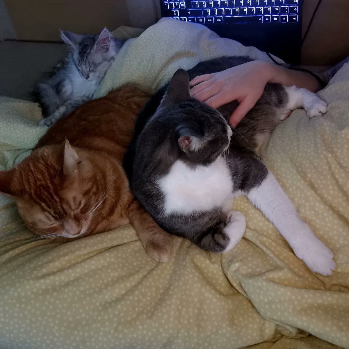 leadessins's tweet image. Je me suis dessinée en JOJO ⚡#Jojo #JoJosBizarreAdventure