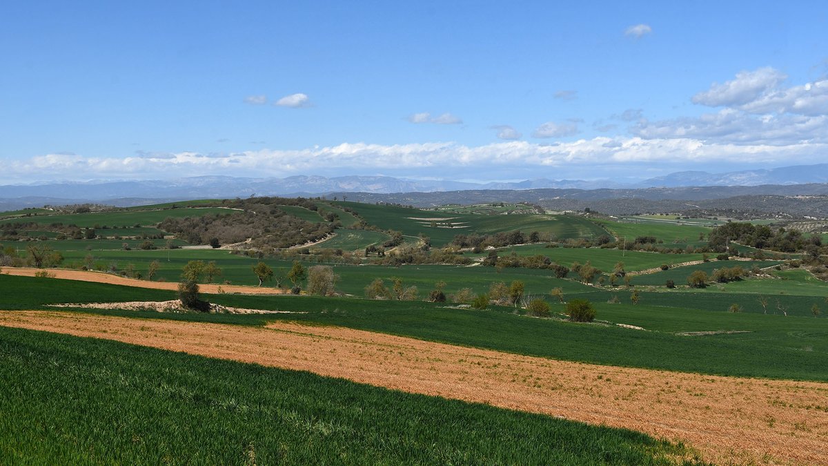 Paisatges primaverals a #Vicfred #Torà! 🌿
Bon dia! 😊

@viladetora @SomSegarra @valldellobregos @Turisme_Segarra @aralleida #primaverasegarra