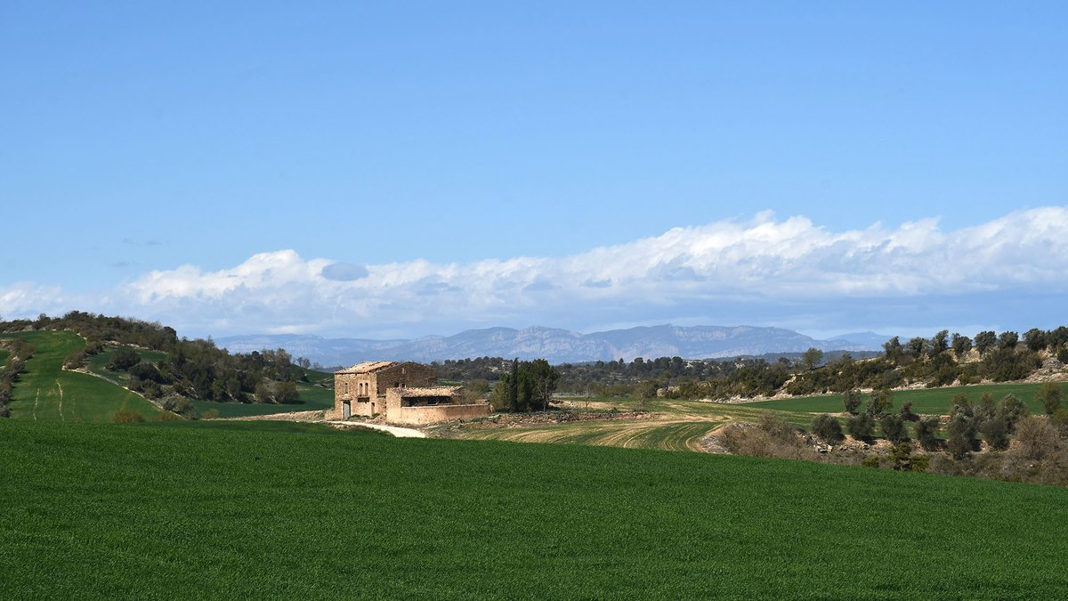 catexperience's tweet photo. Paisatges primaverals a #Vicfred #Torà! 🌿
Bon dia! 😊

@viladetora @SomSegarra @valldellobregos @Turisme_Segarra @aralleida #primaverasegarra https://t.co/7icY3FUVbc