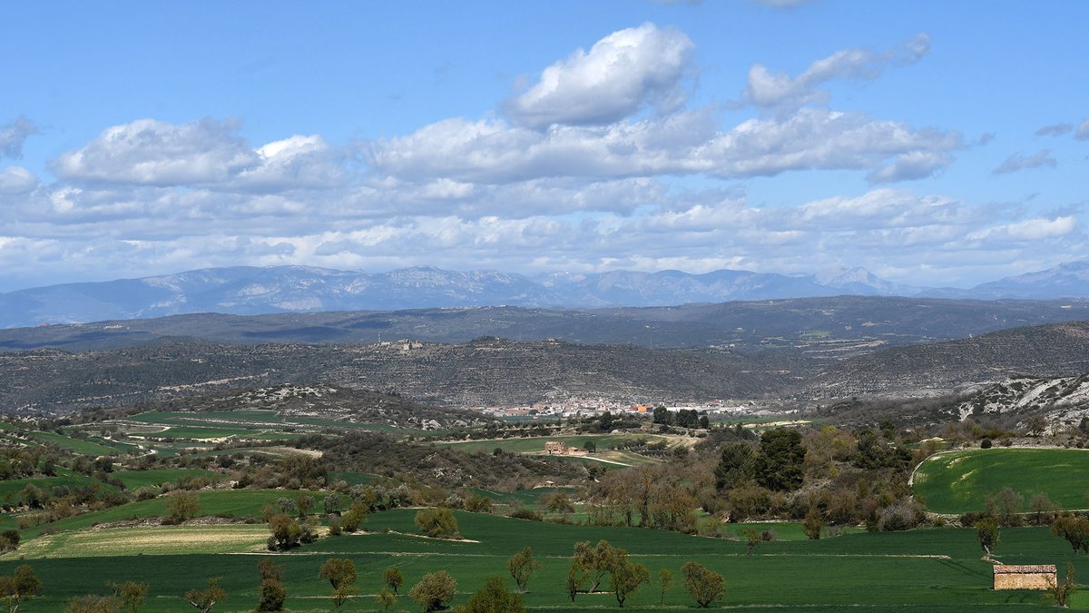 catexperience's tweet photo. Paisatges primaverals a #Vicfred #Torà! 🌿
Bon dia! 😊

@viladetora @SomSegarra @valldellobregos @Turisme_Segarra @aralleida #primaverasegarra https://t.co/7icY3FUVbc