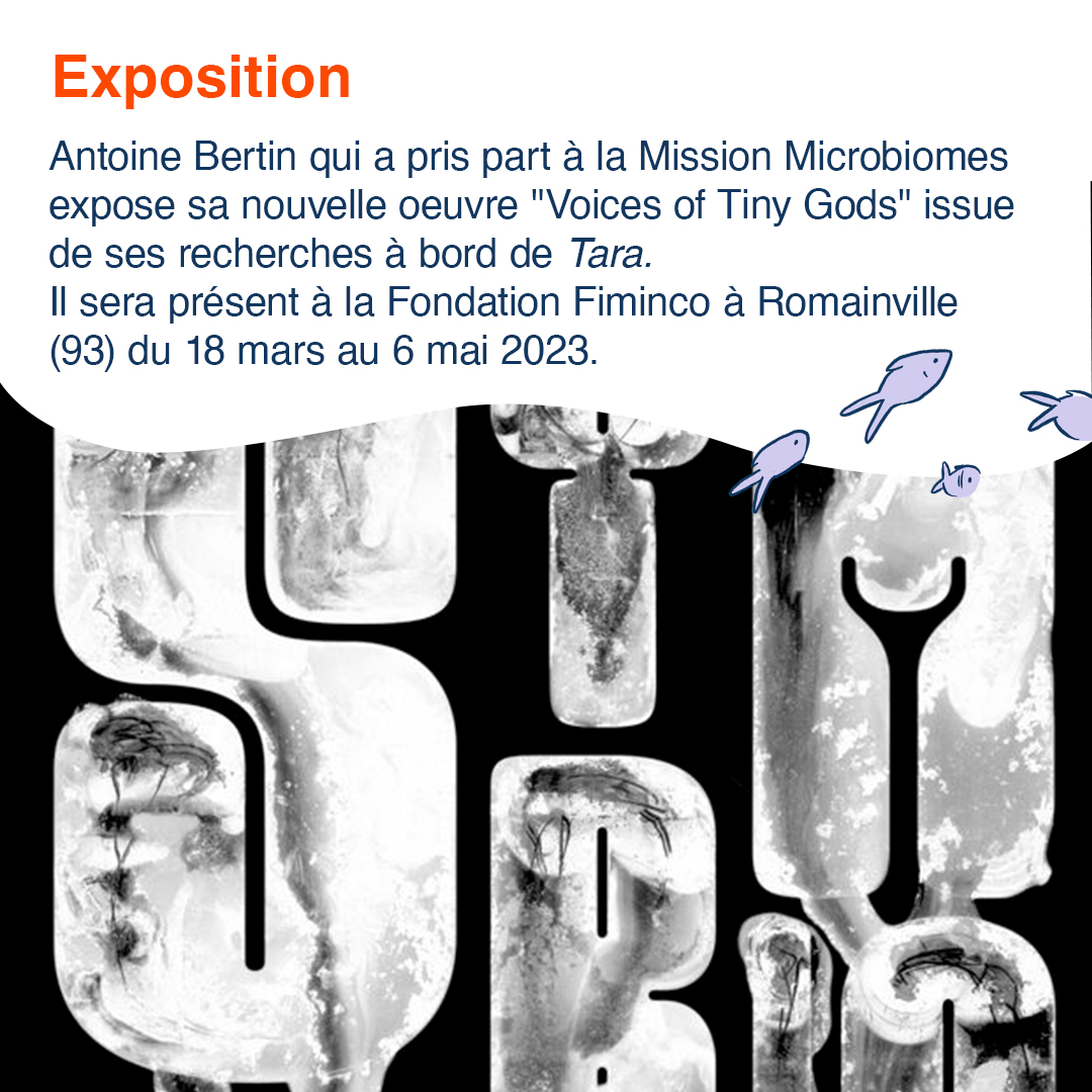 #Exposition <a href="/Ant1Bert1/">Studio Antoine Bertin</a>  à la Fondation Fiminco à #Romainville du 18 mars au 6 mai 😀