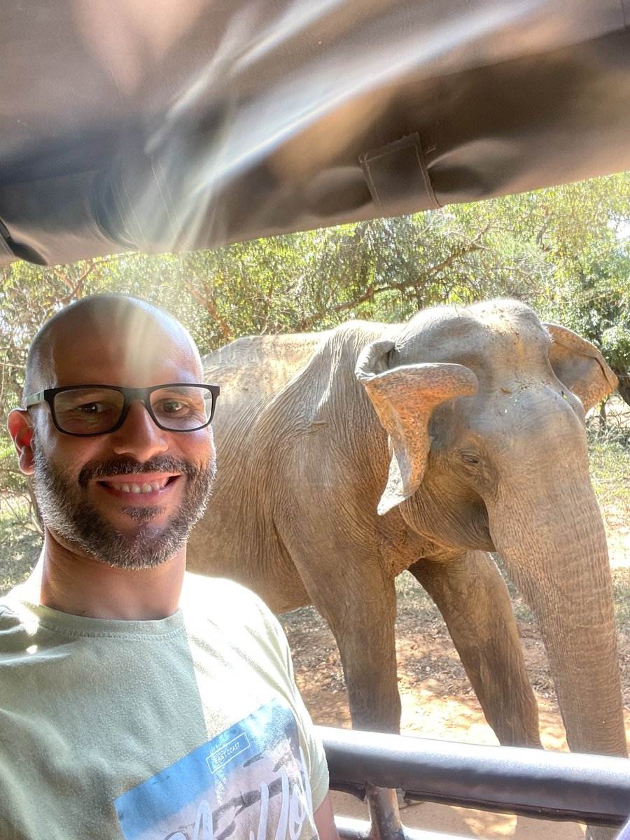 Alex Kilpatrick tweet media