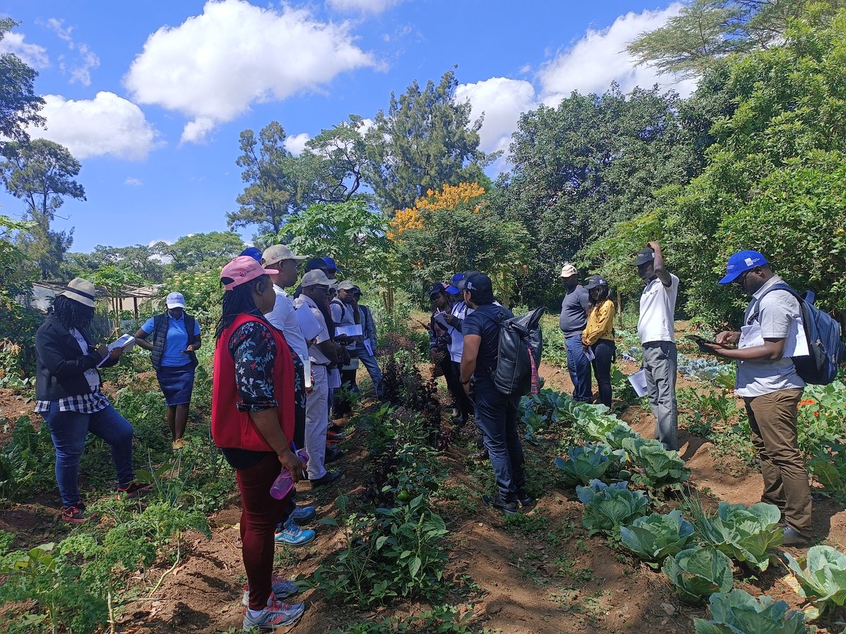 Fambidzanai Permaculture Centre ZWE (@fpc_online) on Twitter photo It was an honor to have a delegation from Young Africa Mozambique and Malawi at our centre and having a session of exchanging knowledge and appreciating the impact of agroecological practices to young smallholder farmers livelihoods <a href="/YoungAfricaInt/">Young Africa</a> #Agroecologyzw #youngfarmers It was an honor to have a delegation from Young Africa Mozambique and Malawi at our centre and having a session of exchanging knowledge and appreciating the impact of agroecological practices to young smallholder farmers livelihoods <a href="/YoungAfricaInt/">Young Africa</a> #Agroecologyzw #youngfarmers
