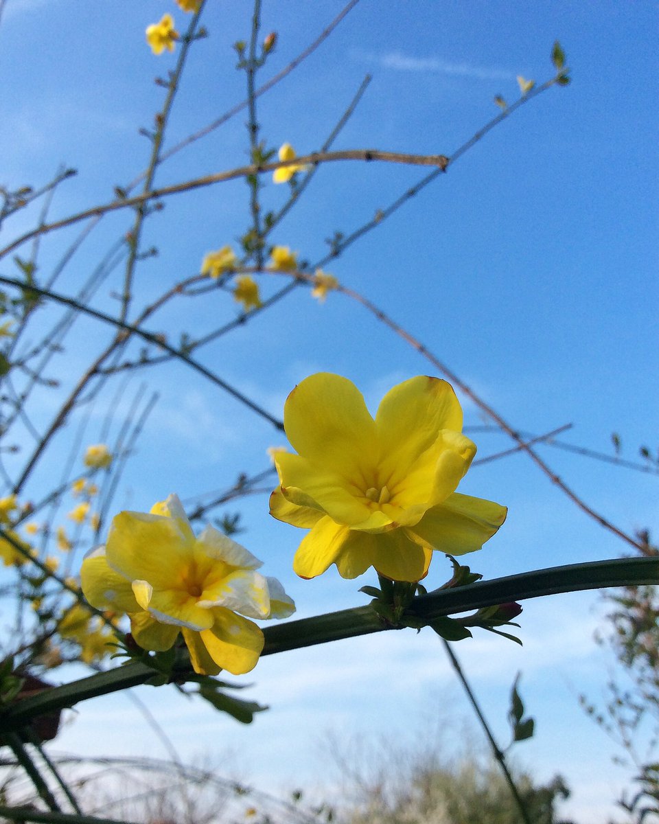 MaviiDunya's tweet photo. #Günaydın https://t.co/NSYtzoAIWN