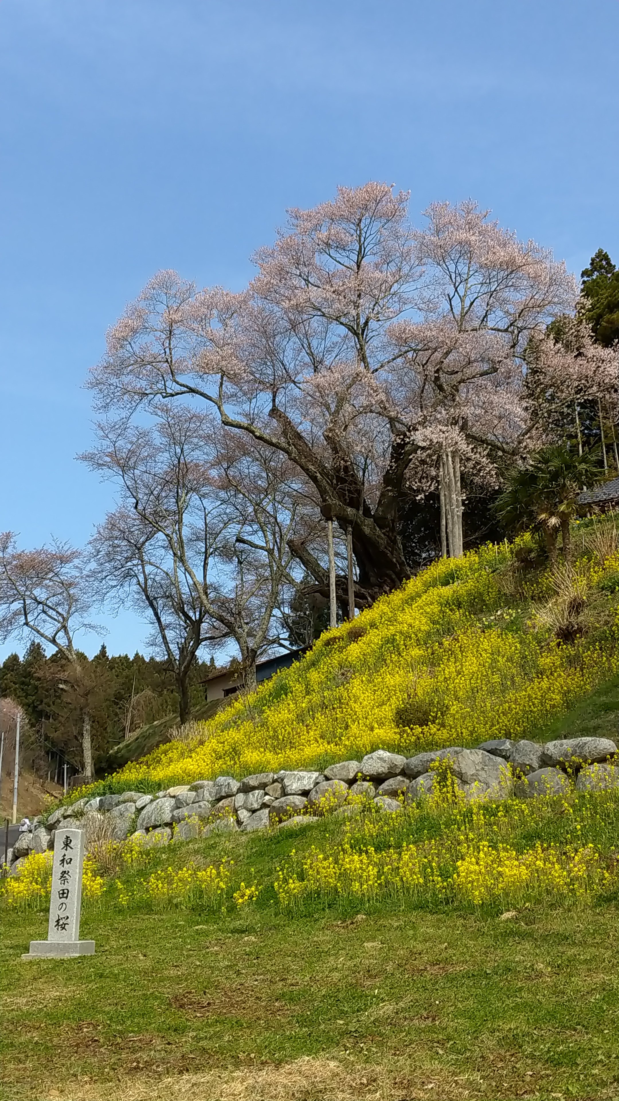 東和観光協会（福島県二本松市東和地域） (towa2490) / Twitter