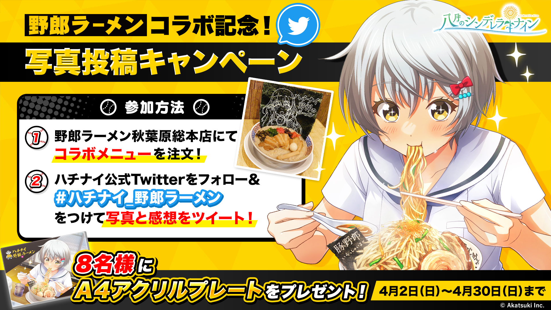 ハチナイ アクリルプレート ハチナイ アクリルプレート