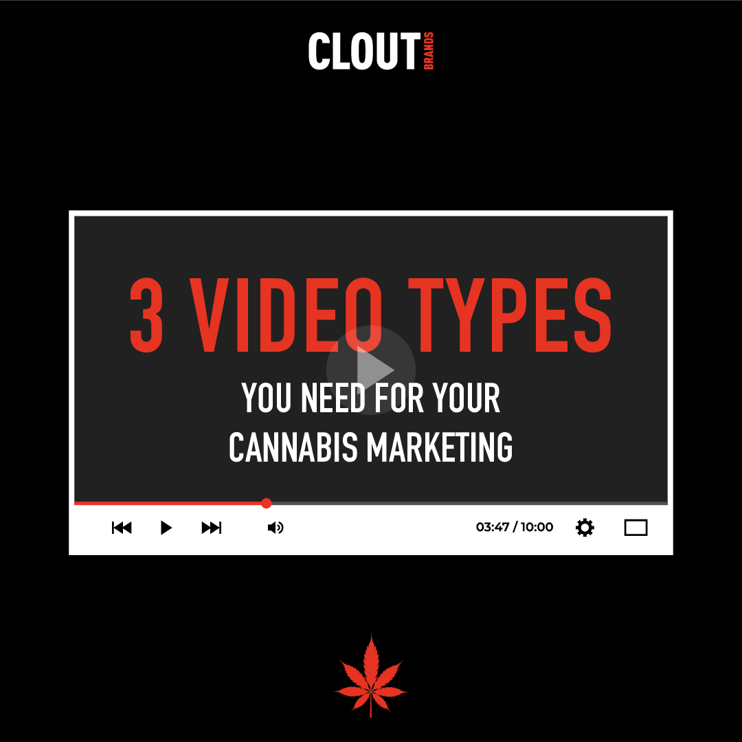 CloutBrands's tweet photo. Here are 3 video types for cannabis marketing that will help you build trust with your customers:

1. Educational videos
2. Customer testimonials
3. Behind-the-scene videos

#videomarketing https://t.co/G9cxVbMdbZ