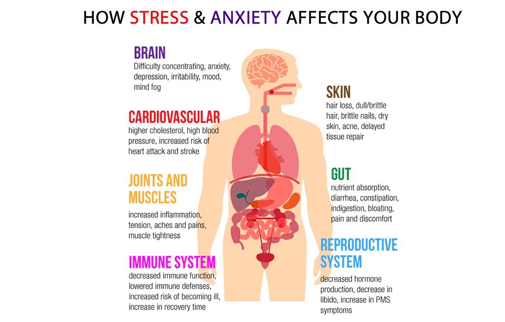 janeparenting2's tweet image. Children can’t easily escape the energy and information radiating of us from our nervous systems 

So we need to become more attuned to how we are feeling and our ongoing states of stress and calmness so we feel comfortable to be with and around! 

#Connection #Coregulation