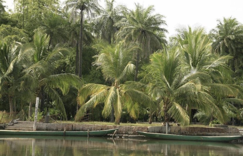 GigoModou's tweet image. Smiling coast of Africa 
Gambia 🇬🇲 is a cool tourists center .