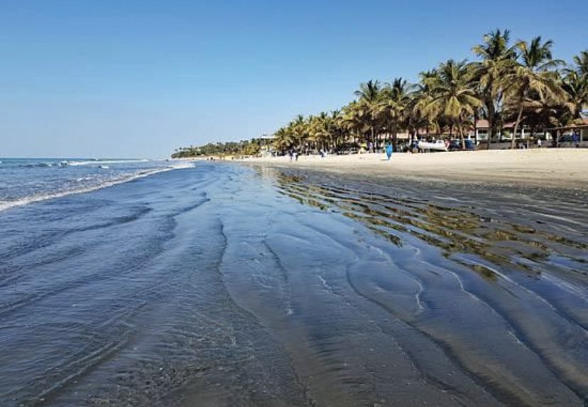 GigoModou's tweet image. 