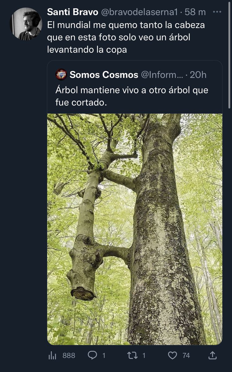 _JugadorNro12's tweet photo. Por estas cosas pago internet https://t.co/F9WjQENqEG