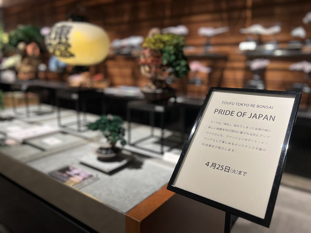 激レア】RE BONSAI 九谷焼 RE盆栽 青【Man 岩本照愛用】 激レア】RE