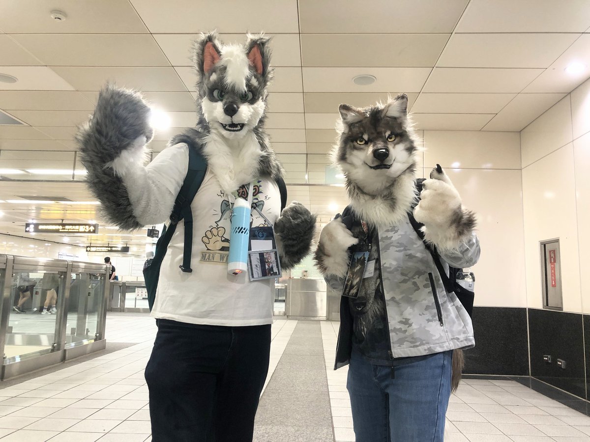 FrankFan0214's tweet photo. 為什麼有種通勤族奮鬥的既視感！？明明是出遊照呀~🫠
🐺🚃🐺
📸：@Lugerdius
#FursuitFriday https://t.co/Ygms6SzyPM