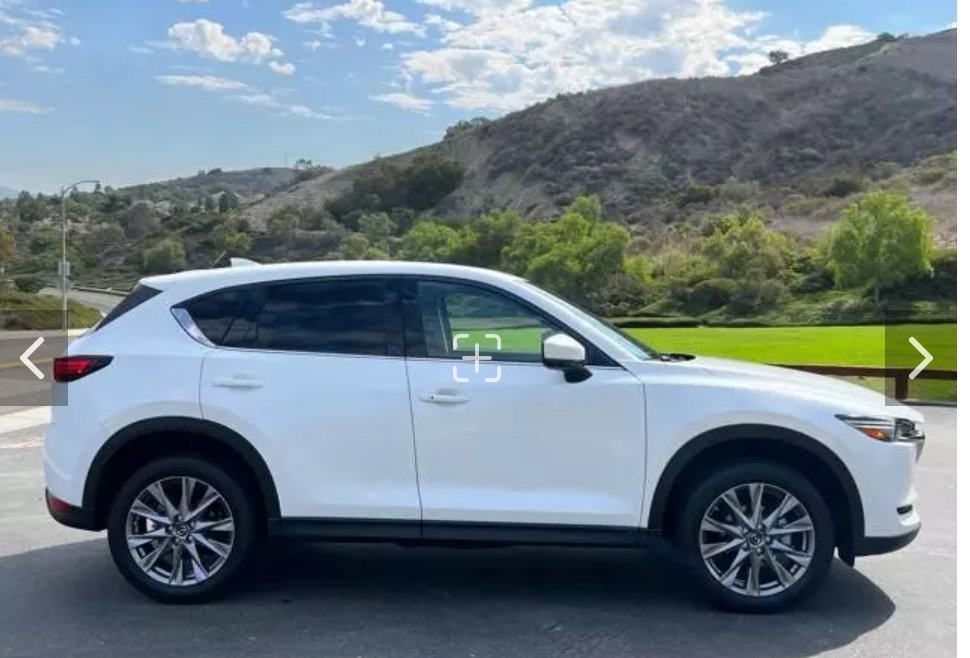 Dave TheBowler tweet media