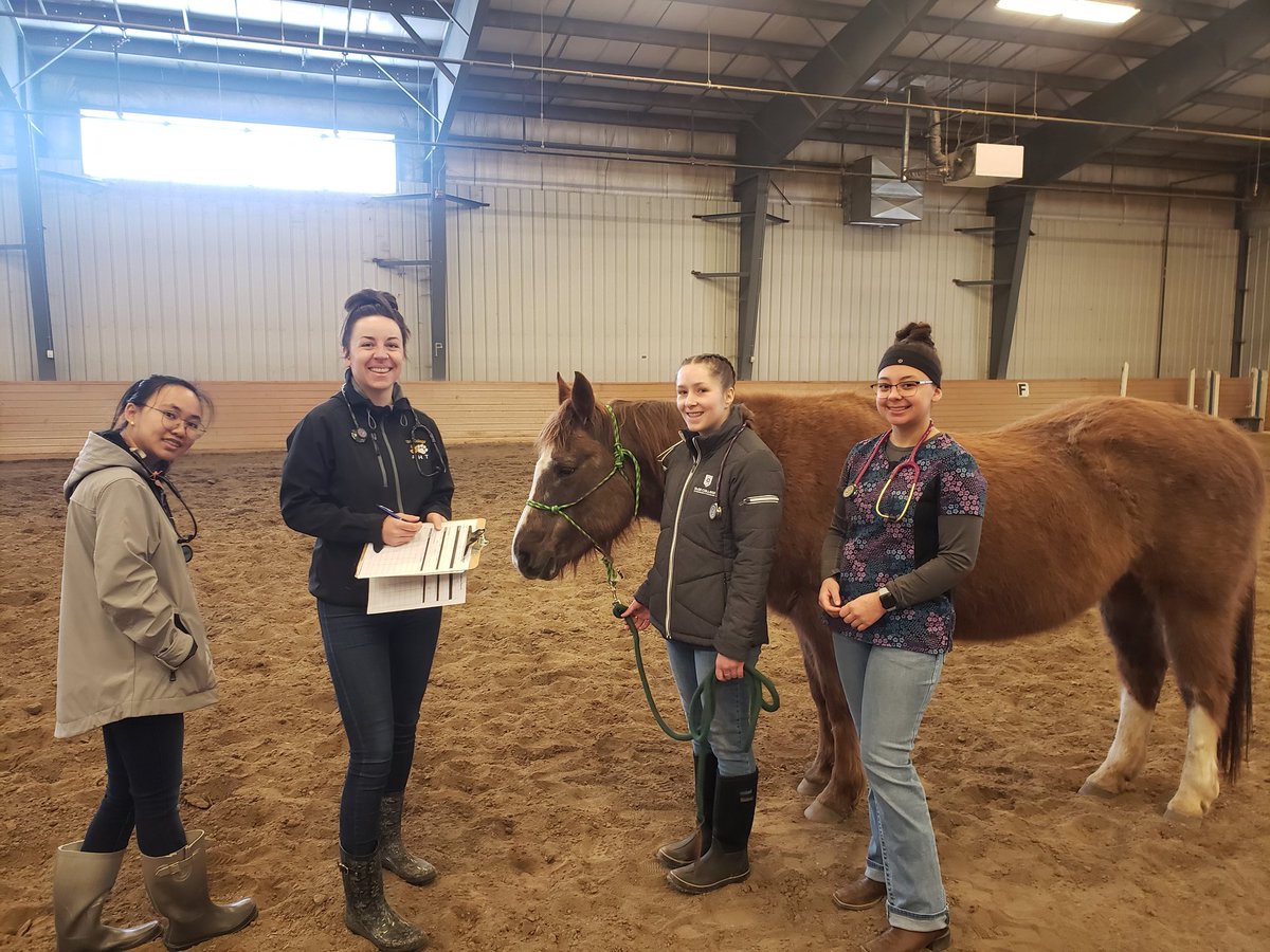 CloustonMisty's tweet photo. Amazing day with the AHT students and our horses 🐎 ❤ https://t.co/e5e40aefIq