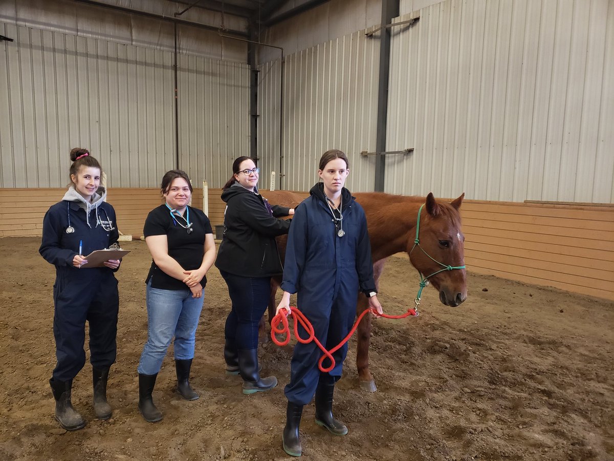 CloustonMisty's tweet photo. Amazing day with the AHT students and our horses 🐎 ❤ https://t.co/e5e40aefIq