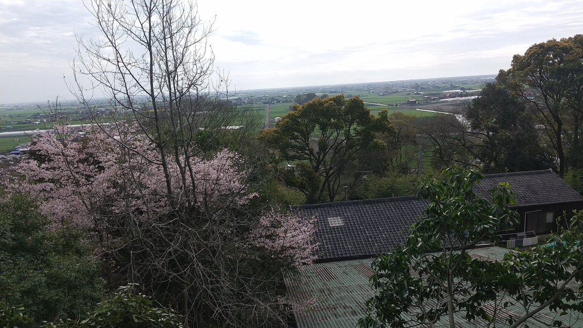 imaokanjiru's tweet photo. 珍しく佐賀で仕事をしております。この季節佐賀平野は一面麦でおおわれています。 https://t.co/P6wPuuYwOJ