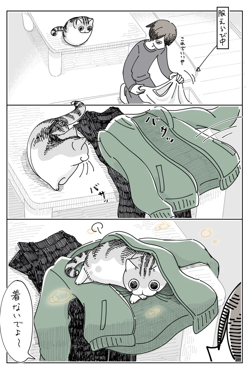 ブランケットよりも･･･！とっても可愛くて、読んでいて癒されちゃう「猫漫画」が話題に！