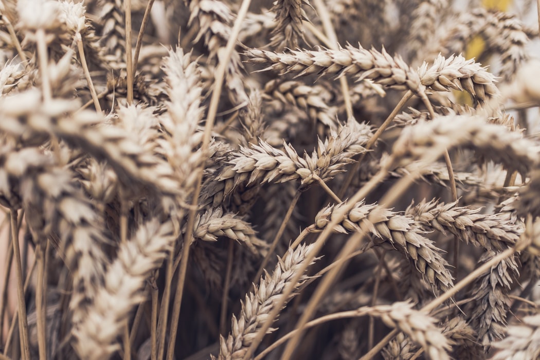wellnessflash's tweet photo. A #wholefood diet includes unrefined whole grains to provide your body its optimal amount of #nutrition. https://t.co/cvTnGgKqER