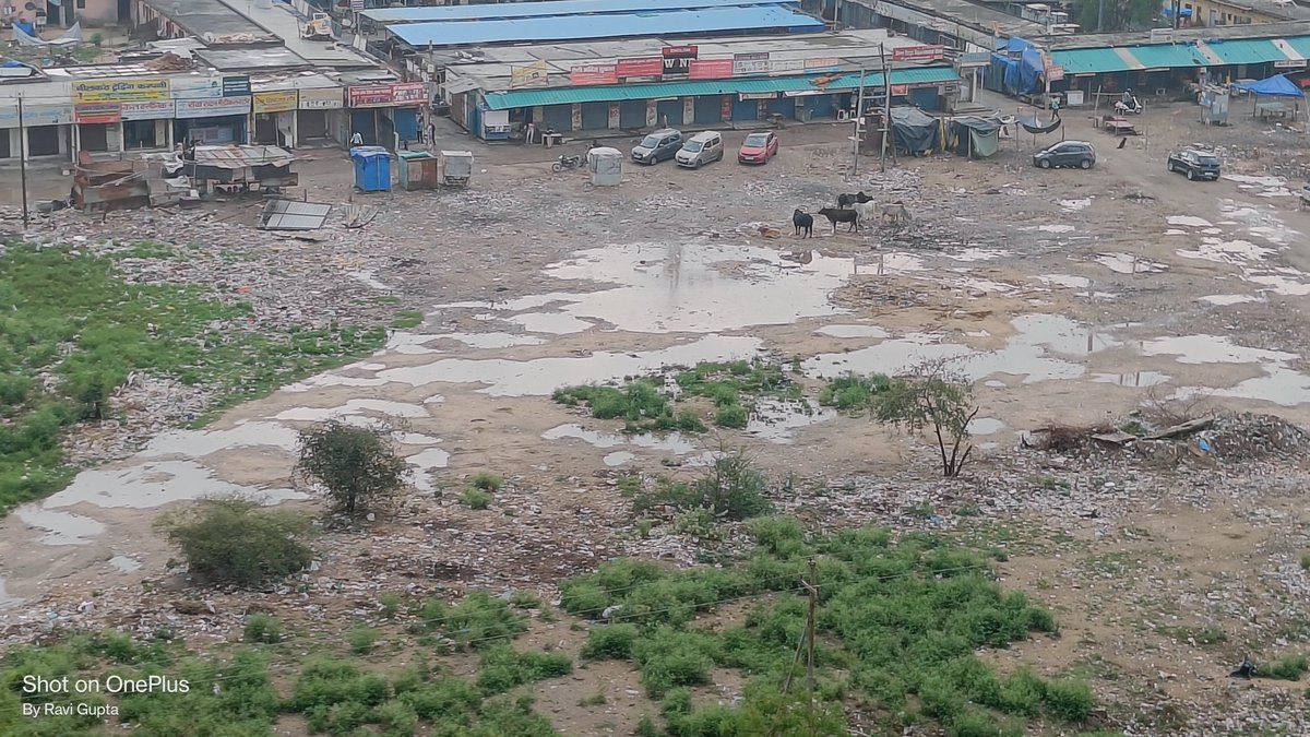 raviguptarg22's tweet photo. Greater Noida West, Sapno ka sheher ya Kude aur bimariyo ka sheher!

Please do something for this area near Ek Murti Chowk, close to choti milak village.

@rituias2003 
@myogiadityanath https://t.co/MTEGRa0ARN