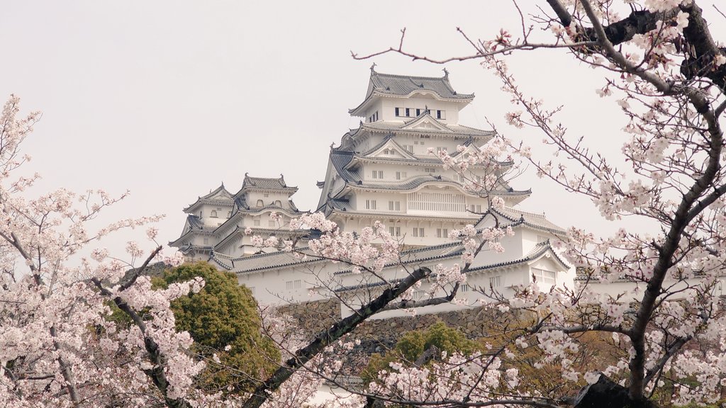 「突発一人旅で初めて姫路城に来てるもうデカいし美しいしかっこいいし大手門入ったとこ」|ウルツ∴🩵🧡💜のイラスト
