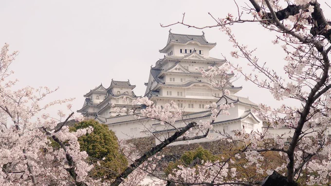 突発一人旅で初めて姫路城に来てるもうデカいし美しいしかっこいいし大手門入ったところから声と心の中で「最高…」しか言ってないマジで最高 